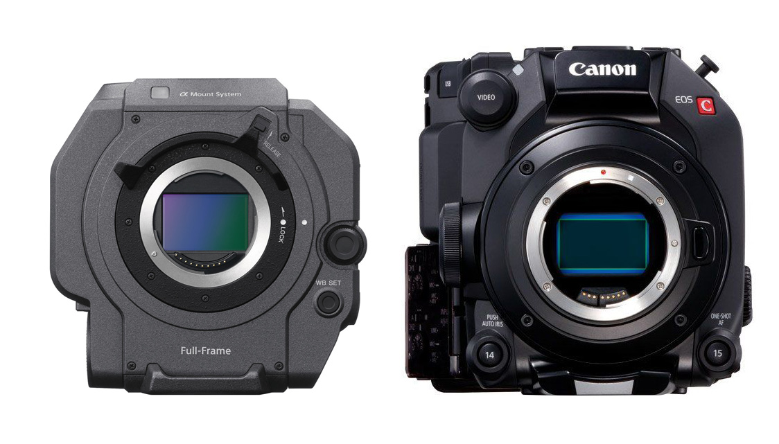 Canon C500 Mark II vs Sony FX9